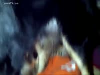 Masturbating the dog